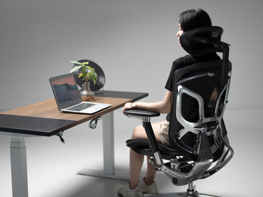 Ergoup Butterfly Pro Chair - Ergonomic Office Chair, Free Shipping