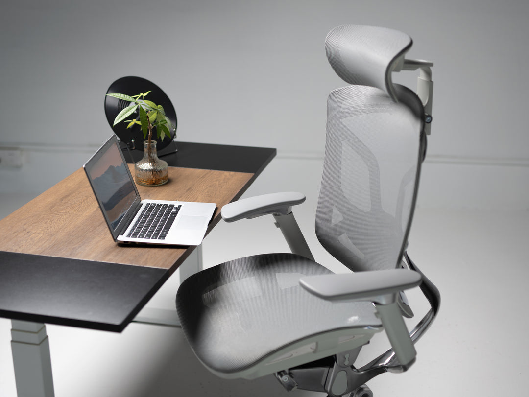 Ergoup Butterfly Pro Chair - Ergonomic Office Chair, Free Shipping