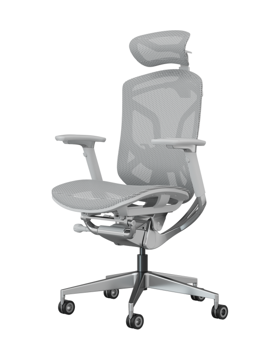 Ergoup Butterfly Pro Chair - Ergonomic Office Chair, Free Shipping