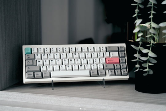 [GB] Envy65 Mechanical Keyboard Kit
