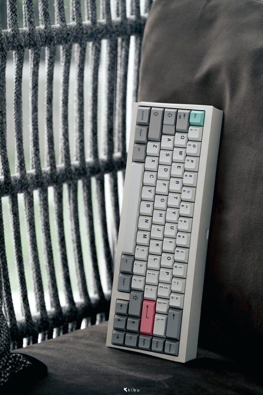 [GB] Envy65 Mechanical Keyboard Kit