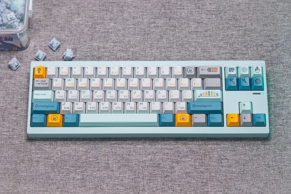 [In-stock] Retro: Evolution Cherry Profile PBT Keycaps