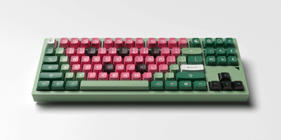 Glove Suika/Watermelon Theme WDA Profile PBT Keycaps